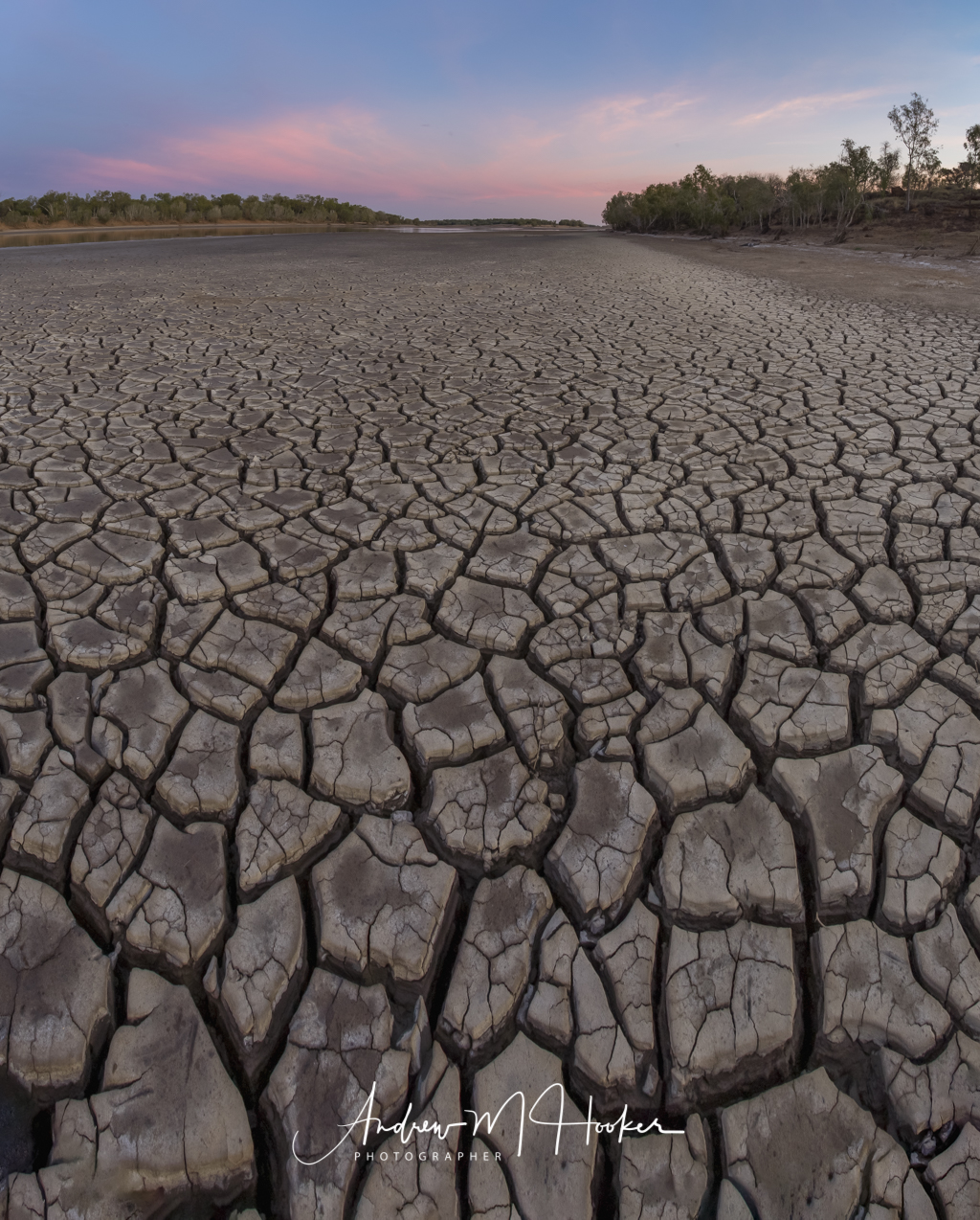 Fitzroy River Mud